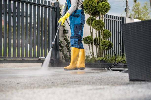 Best House Pressure Washing  in Slayton, MN